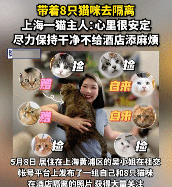 买到一盒肯德基猫爪蛋挞,我当场气死