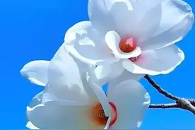 人生，太短；活着，太难图片