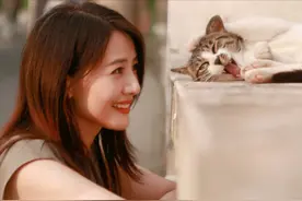 街拍女王！女神高圆圆晒出漂亮自拍照，和小花猫玩耍的样子太迷人图片