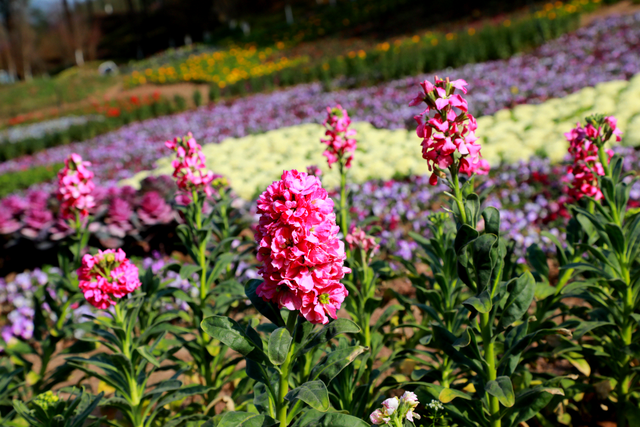 四川省民生研究会新媒体中心-官网