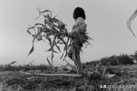 小农经济到底会不会被淘汰？图片