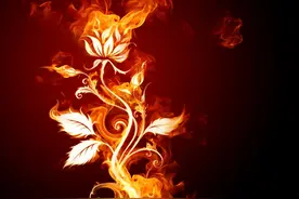 细说《遮天》中最顶级的几种神物图片