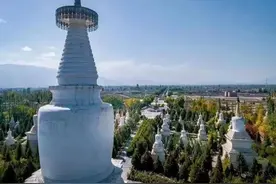 “凉州会盟”，西藏正式归入中国版图图片