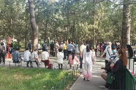北京天坛公园的老年人恋爱角，愿那些追求夕阳红的人梦想成真图片