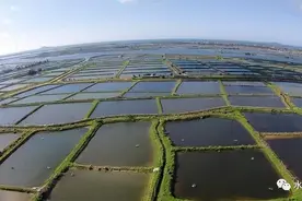 养殖池塘的规划与设计：价值多元的目标定位，提高效率的有效配置图片
