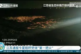 江苏通报今夏秸秆焚烧“第一把火”图片