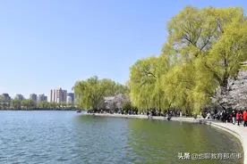 部编版六年级下学期期中质量检测语文试题之选择题专训图片