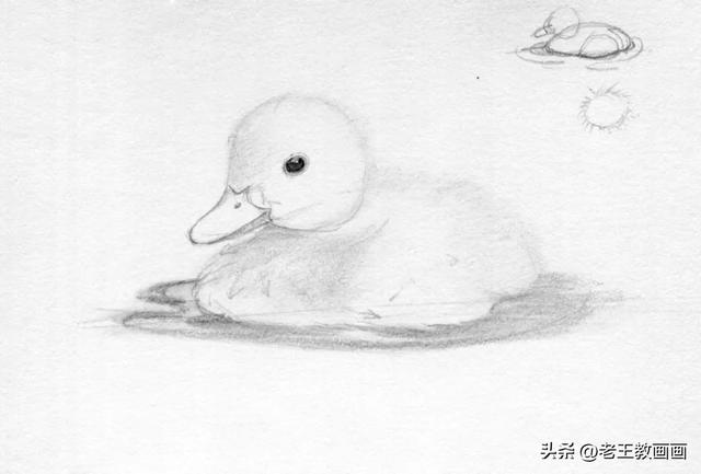 零基础素描教程，教你画一只小鸭子