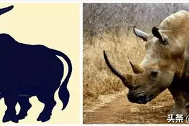 《山海经》异兽的现代动物解析图片