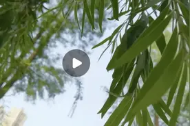 结婚前后都有什么区别图片