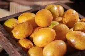 黄皮不仅是水果，它一身都是不可多得的治病中药，只是你不知道图片