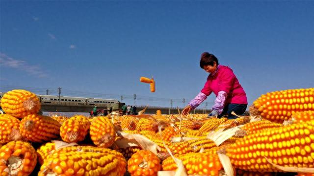 中央发话了？活人无耕地，死人却有田，农村土地要打乱重分？