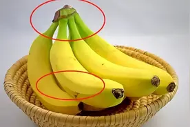 催熟的香蕉也能催小朋友“早熟”吗？图片