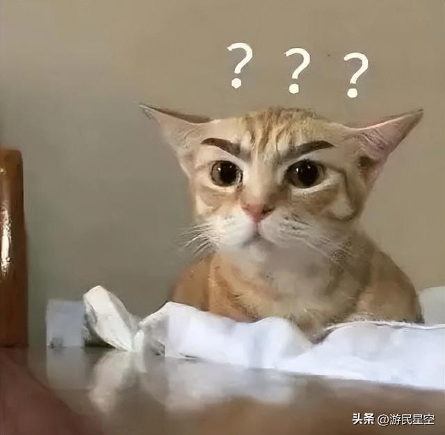 五年不老、厚积薄发 这是《香肠派对》的爆款之路