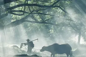 中国人对时间的雅称，有多美？图片