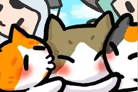 交大猫咪有表情包了！好爱！图片
