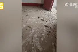 男子带妻女重回17年前的婚房 女儿反应亮了图片