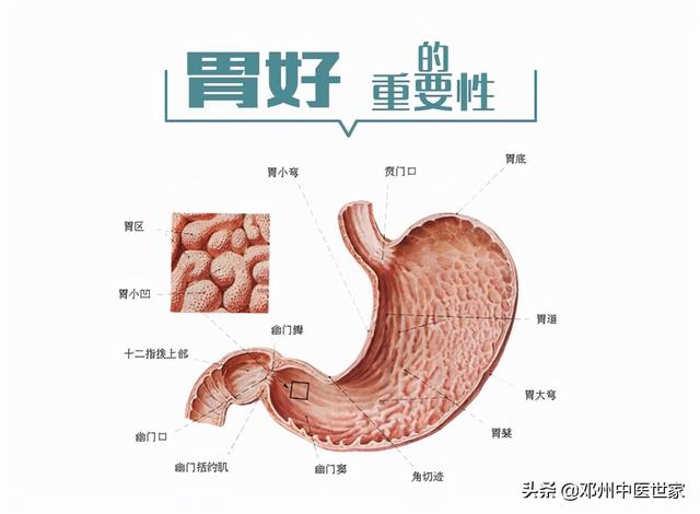 慢性浅表性胃炎吃什么药?（慢性浅表性胃炎仅需两味药）