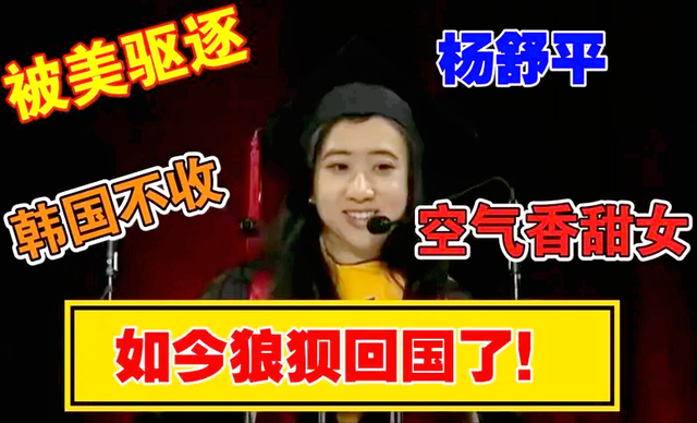 杨舒平回国求职没人理,只能整日与狗为伴