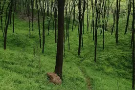 要慢慢习惯没有另一半的日子图片