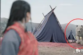 救命啊，这是在侮辱谁的智商？图片