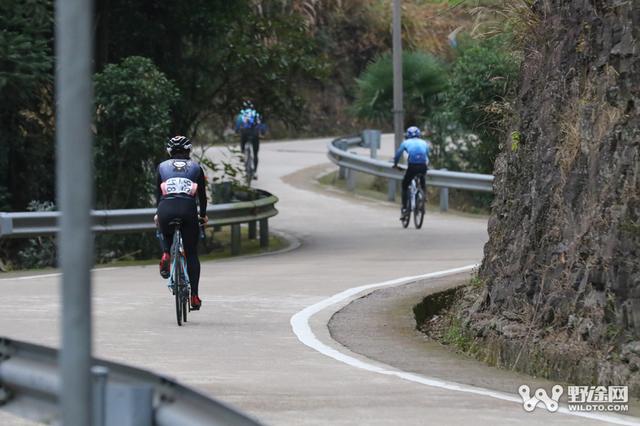 啥是支链氨基酸 对骑行有好处吗