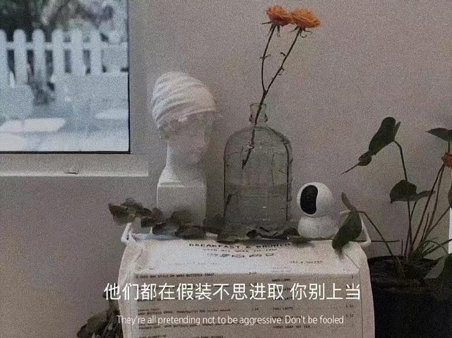ճ̬Ȧİ