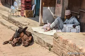 巴基斯坦为啥总是乱哄哄的样子图片