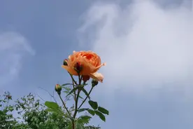 试机号码：2022289期福彩3D模拟试机号码来了，大大小的组六号码图片