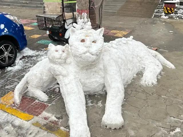 大郑州堆雪人内卷严重，哪个是金奖？全河南的雪人都在这里了