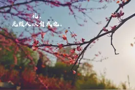别不信：放下情劫，成就福缘，将一生顺遂图片