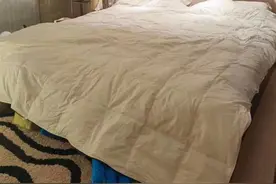 踩过买被子的坑，熬夜总结了上百和上千的被子区别，值得参考图片