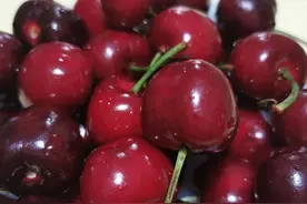 外研社小学英语三年级下册知识点图片