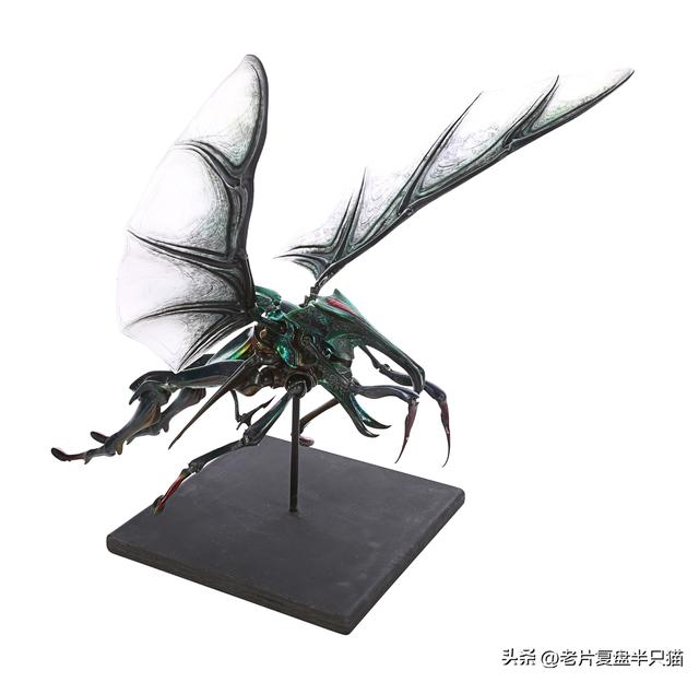 盘点《星河战队》虫族兵种，从低级兵，讲到女王和虫神