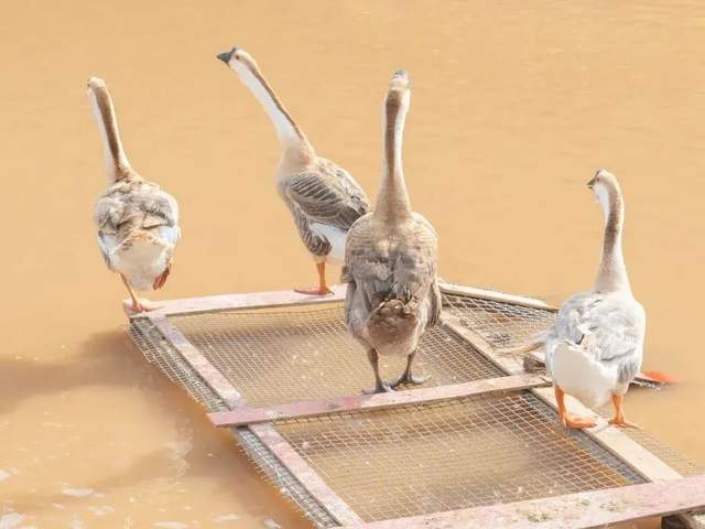 四川省民生研究会新媒体中心-官网