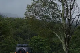 老外的露营生活1人1车1狗，躲帐篷听雨声，很惬意图片