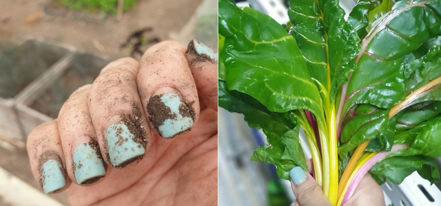 脸颊像鸡皮肤一样