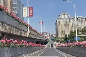 想看更美的二环花海？安排！图片