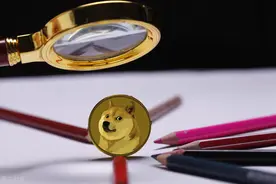 市值缩水50%，狗狗币和柴犬都失去了前10名的位置图片