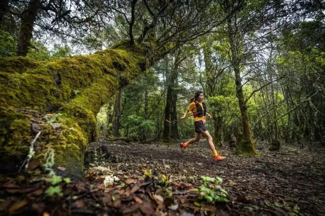 关注 | 全国首批！云南两地入选