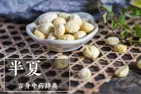 半夏（温化寒痰药）图片