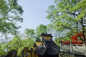 重庆这几处茶社，吹风听雨很惬意图片