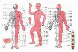 老中医：这9个穴位可治病（详细图解），非常实用，建议收藏起来图片