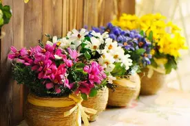 女性之间，想要维持长久的友谊，就要尽量避免做这两件事情图片