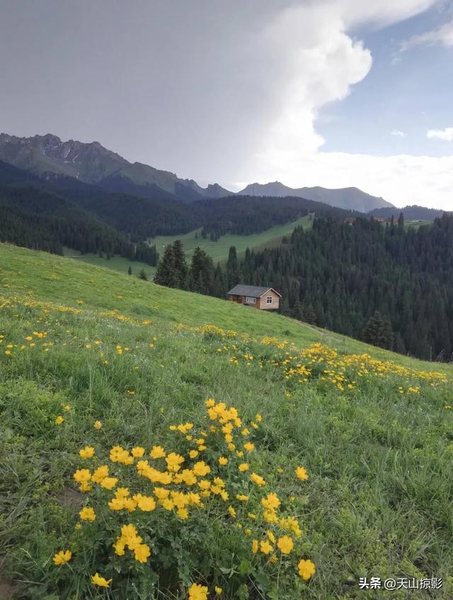一万泉美景