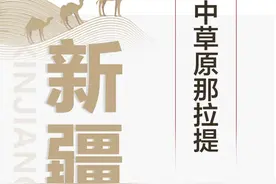 石榴图说丨说新疆—空中草原那拉提图片