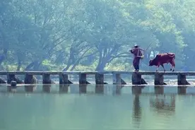 网友：大家都要缴税，为何农民不用缴税?图片