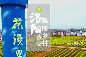 在洛阳感受美丽乡村——安乐镇曙光社区图片