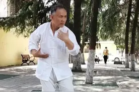 河南驻马店古传心意六合拳之撑架子功图片