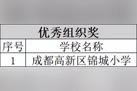 优秀！锦城小学在全国青少年航天创新大赛中成绩斐然图片